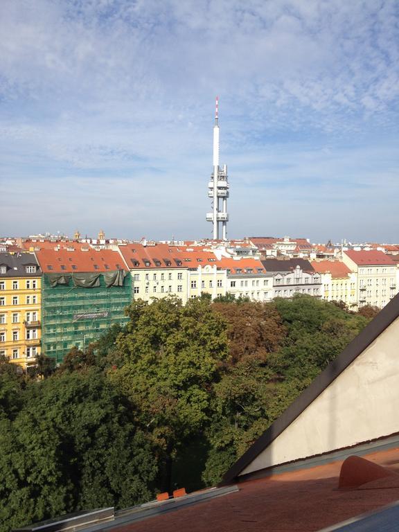 Penthouse Apartment In Vinohrady Prague Phòng bức ảnh