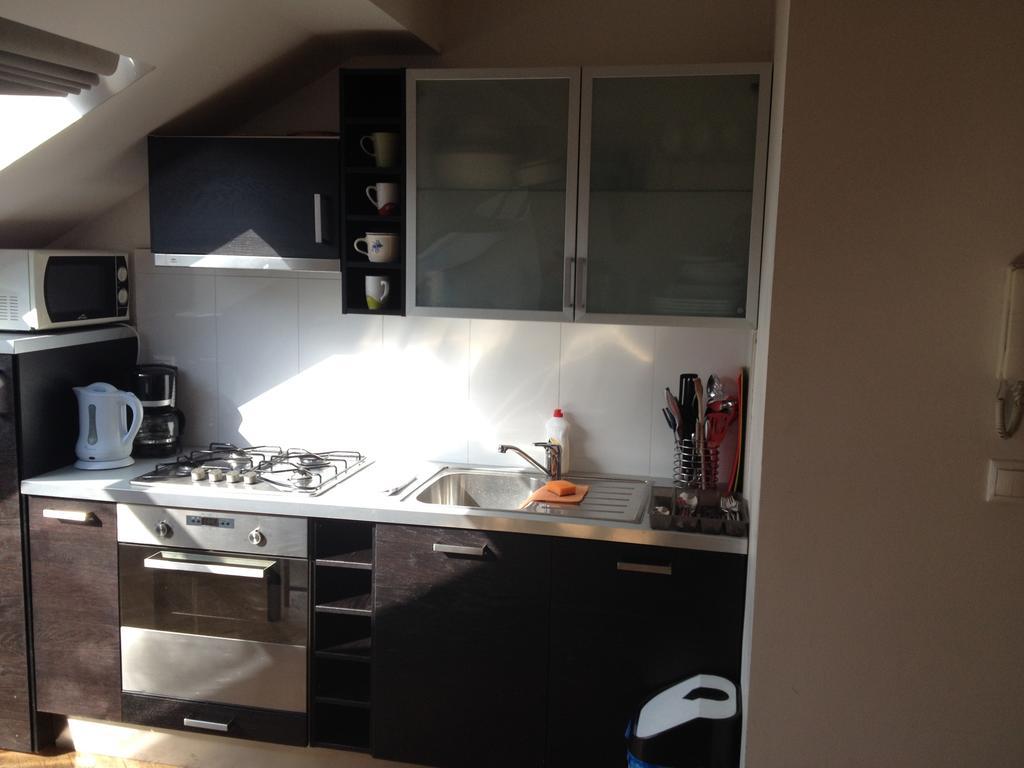 Penthouse Apartment In Vinohrady Prague Phòng bức ảnh